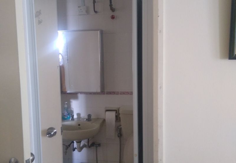 Silverpark Apartment