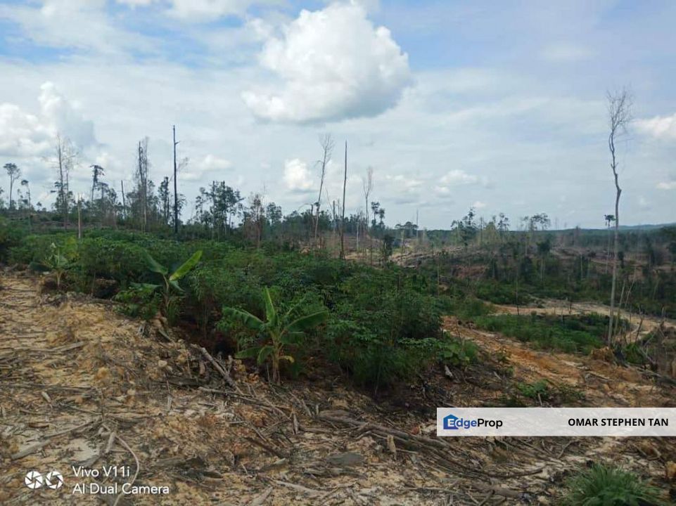 Plantation Land @ Pahang, Pahang, Rompin District