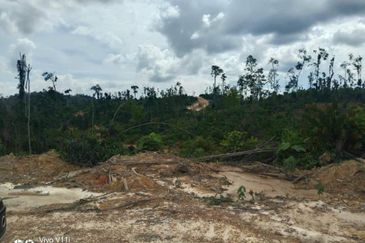 Plantation Land @ Pahang