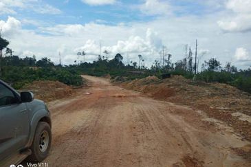 Plantation Land @ Pahang