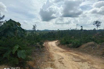 Plantation Land @ Pahang