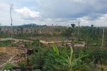 Plantation Land @ Pahang