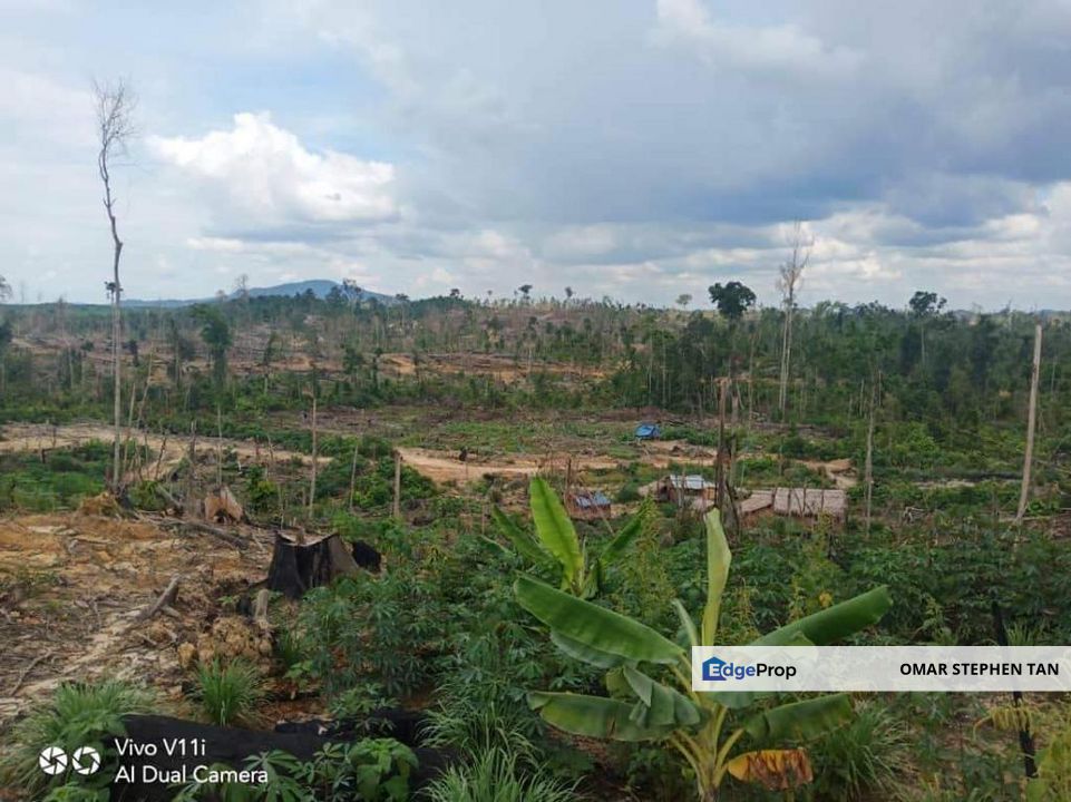 Plantation Land @ Pahang, Pahang, Rompin District