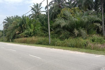 Very Cheap Commercial Land @ Ijok Kuala Selangor