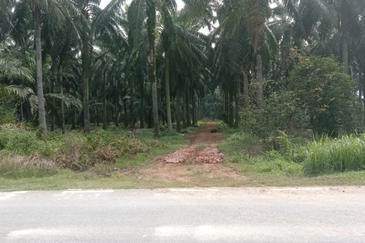 Very Cheap Commercial Land @ Ijok Kuala Selangor