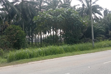 Very Cheap Commercial Land @ Ijok Kuala Selangor