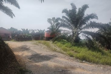 Oil Palm Estate @ Seremban 2, Negeri Sembilan