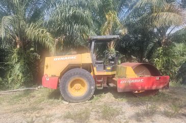 Oil Palm Estate @ Seremban 2, Negeri Sembilan