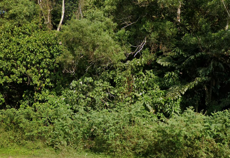 Industry Land @ Pantai Seremban Negeri Sembilan