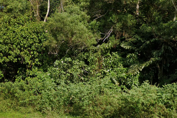 Industry Land @ Pantai Seremban Negeri Sembilan
