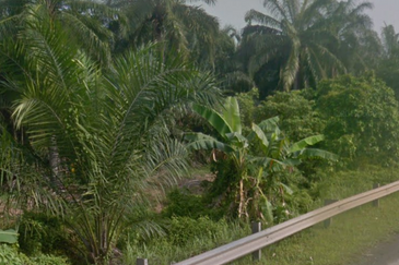 Industry Zoned Land @ Banting, Selangor