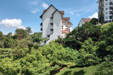 Silverpark Apartment