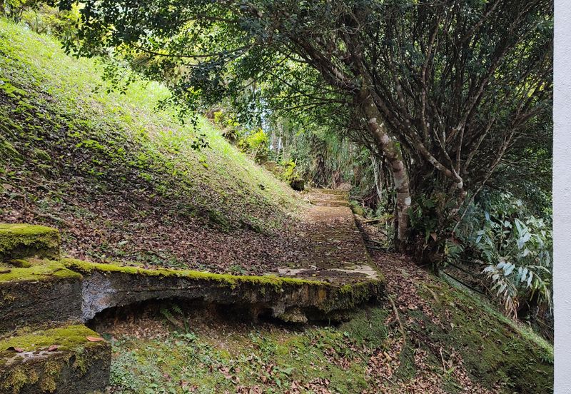 Silverpark Apartment