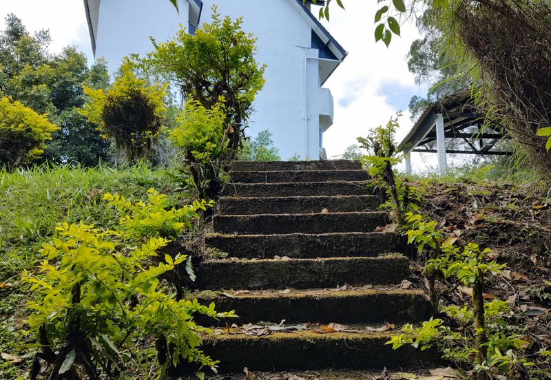 Silverpark Apartment