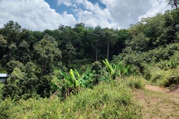 Kuala Kubu Bharu