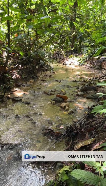 Stream Land @ Ampang Pecah, Kuala Kubu Baru, SEL, Selangor, Hulu Selangor