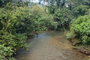 Agriculture Land + Stream @ Kerling, Hulu Selangor