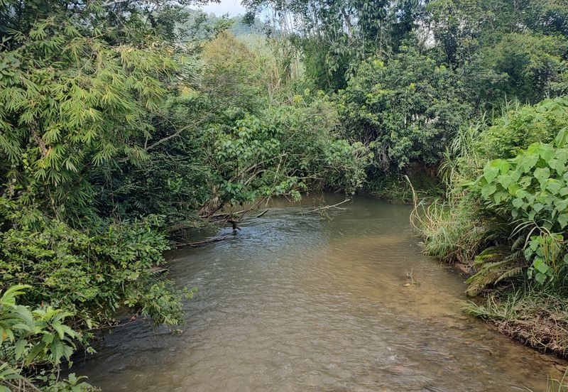 Agriculture Land + Stream @ Kerling, Hulu Selangor
