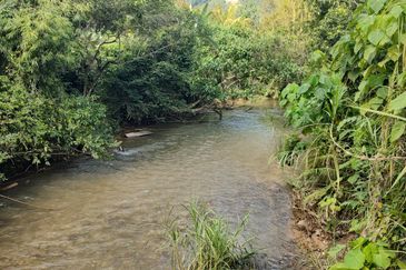 Agriculture Land + Stream @ Kerling, Hulu Selangor