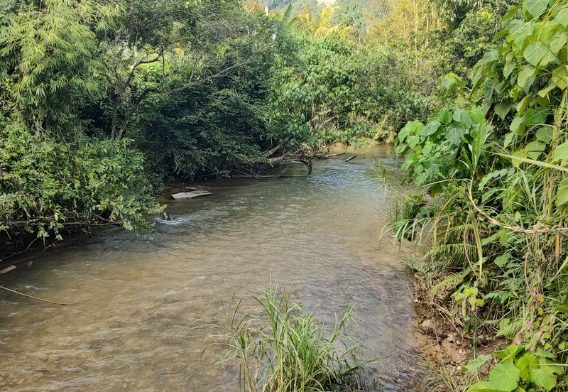 Agriculture Land + Stream @ Kerling, Hulu Selangor