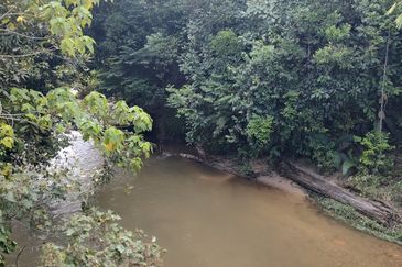Agriculture Land + Stream @ Kerling, Hulu Selangor