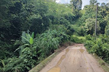 Agriculture Land + Stream @ Kerling, Hulu Selangor