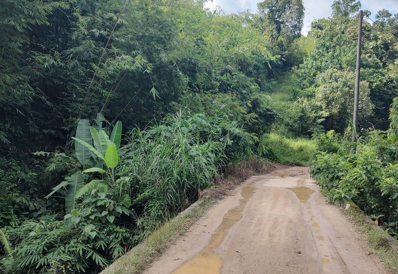 Agriculture Land + Stream @ Kerling, Hulu Selangor