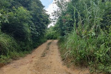 Agriculture Land + Stream @ Kerling, Hulu Selangor