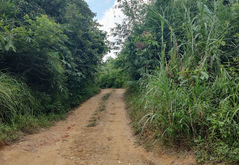 Agriculture Land + Stream @ Kerling, Hulu Selangor