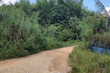 Agriculture Land + Stream @ Kerling, Hulu Selangor