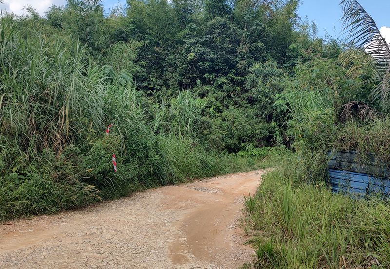 Agriculture Land + Stream @ Kerling, Hulu Selangor