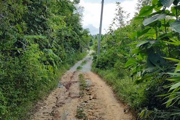 Agriculture Land + Stream @ Kerling, Hulu Selangor
