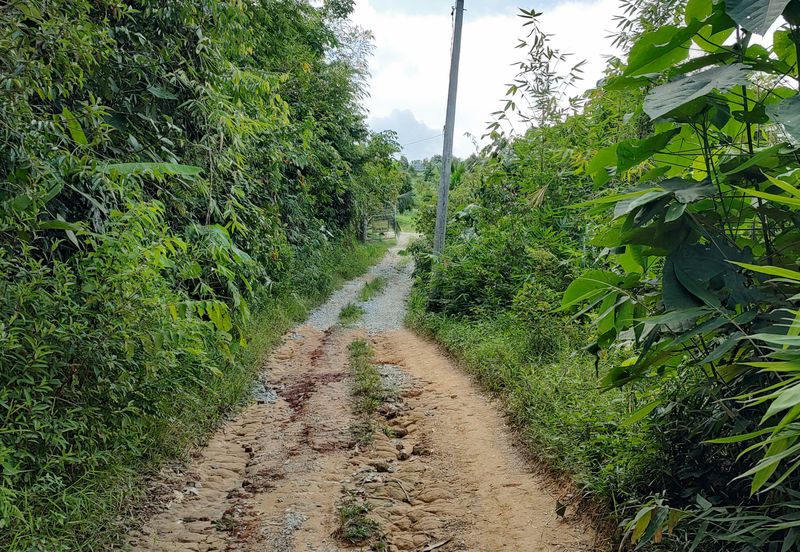 Agriculture Land + Stream @ Kerling, Hulu Selangor