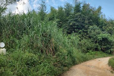Agriculture Land + Stream @ Kerling, Hulu Selangor