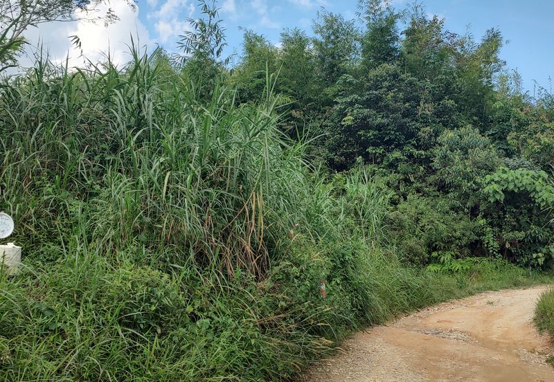 Agriculture Land + Stream @ Kerling, Hulu Selangor
