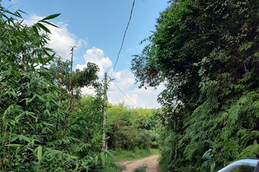 Agriculture Land + Stream @ Kerling, Hulu Selangor