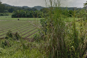 Industry Land @ Batang Kali, Hulu Selangor