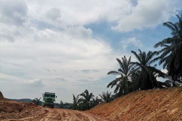 Bukit Ceraka, Alam Perdana, Ijok 