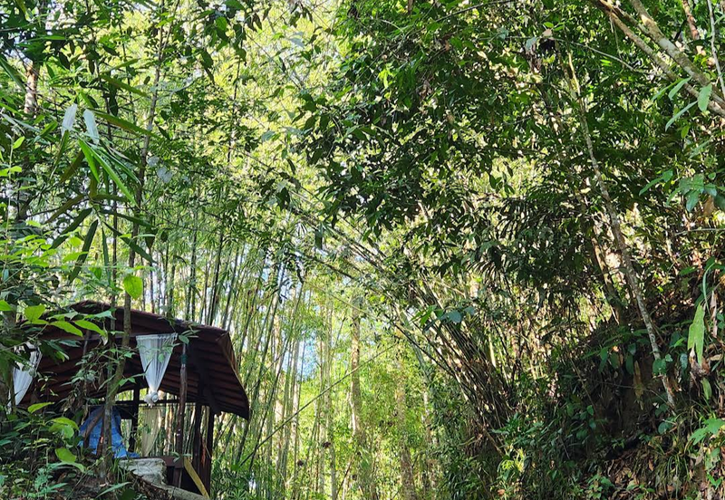 Luxury Resort @ Kuala Kubu Baru, Hulu Selangor