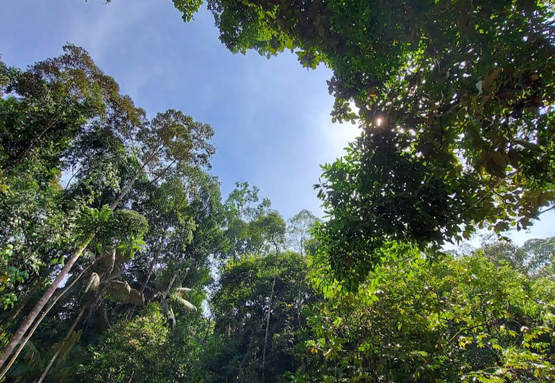 Luxury Resort @ Kuala Kubu Baru, Hulu Selangor