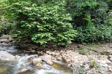 Stream Land @ Sungai Bil, Tanjung Malim, Perak 