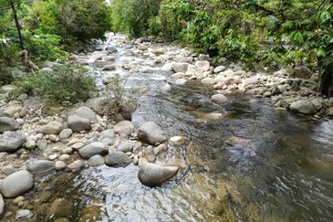 Stream Land @ Sungai Bil, Tanjung Malim, Perak 