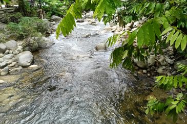 Stream Land @ Sungai Bil, Tanjung Malim, Perak 