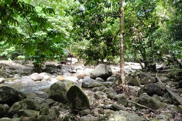 Stream Land @ Sungai Bil, Tanjung Malim, Perak 