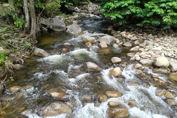 Stream Land @ Sungai Bil, Tanjung Malim, Perak 
