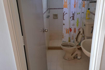 Silverpark Apartment