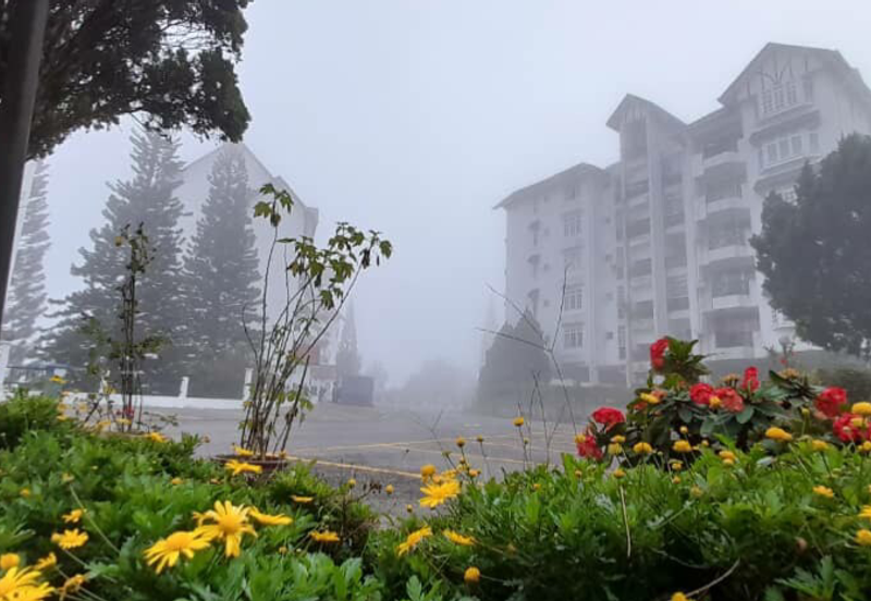 Silverpark Apartment