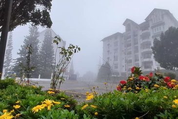 Silverpark Apartment