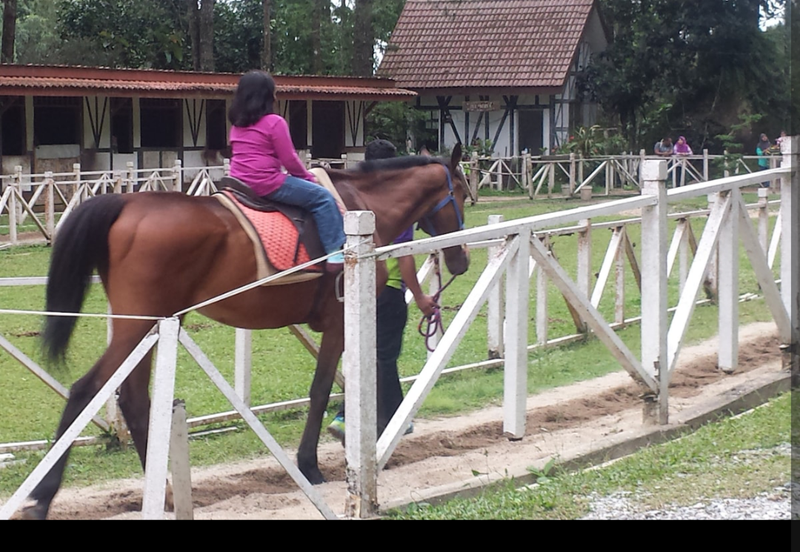 Silverpark Apartment