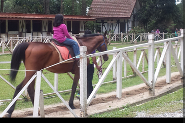 Silverpark Apartment